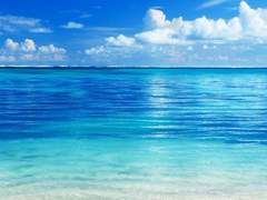 Dear, my little 썰 정리 #4