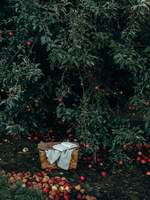 2차 : 판타지소설