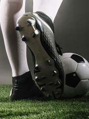 수직적 로맨스 完