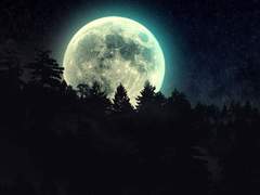 [半月/백란유단] 누리달