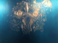 옛날 그림들- 곤충