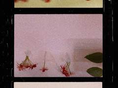 29.530588) 끈질기도록 나를 원해주고, 절대로 나를 포기하지 않고, 언제, 어떤 경우에든 내 곁에 있어 줄 사람이 아무도 없었기 때문에