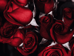 [유키아이?] 소녀와 어른