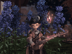 아네모스 무기!