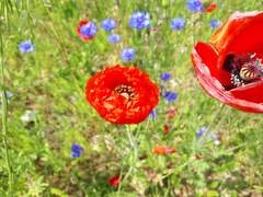 [연재]Beautiful Now -1-