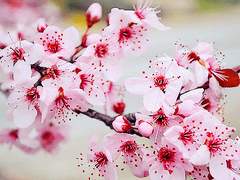 새롭게 舊 경찰청사 건물 관리직을 맡게 된 당신에게