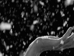 몇 번의 계절이 지나고