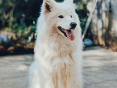 3. 메리 크리스마스, 메리