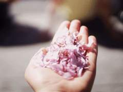 미인박명: 첫 번째 서장