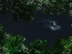 [고르기] 차원이동 고르기