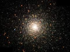 [유현유진] 탈출기