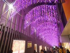 [명우유진] イルミネーション