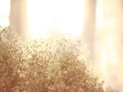 금요일엔 치킨이지