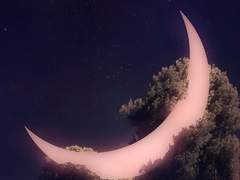 외전 5. 이들의 과거