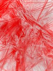 학교에서 살아남기