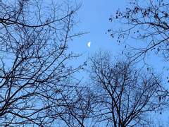 쓰지 않은 그것들을 살아가는 것으로 대신할 줄 아는 너를