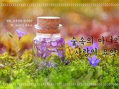 숲 속의 마녀와 사랑의 묘약 플레이 로그