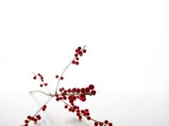 Breathless 특전 일반우편발송폼