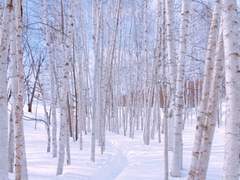 [슙뷔] 당신의 설원을 노래하며 中