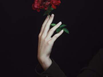 Interview with the Vampire