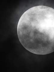 [슈짐] 안녕, 아저씨