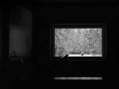 [워킹데드/ 현대AU/ 릭른] 그리고 아무도 없었다 -3-