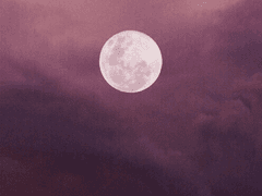 조각 7. 웨이란 조선X무협 크로스 AU