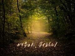 [나루른] 여우야, 뭐하니 - 11 함께하자