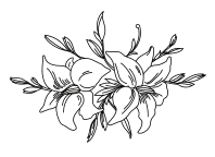 보고 싶다는 말 대신