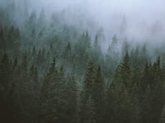 [찬백] 외로운 몽상가가 말했다 上