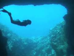 미인박명: 아오바죠사이