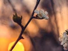 [2ch 썰] 매일 이어지는 꿈을 꾸고 있어(´•ω•｀) (2) [다이겐]