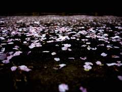 [2ch 썰] 매일 이어지는 꿈을 꾸고 있어(´•ω•｀) (3) [다이겐]