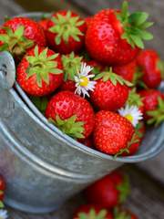 [랩진] 마멀레이드-(完)