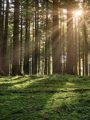 [랩진] raison d'etre-(完)