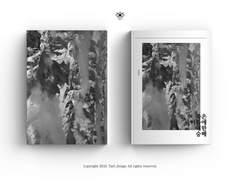 죽은 이들에 대한 숭배