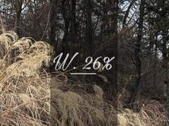 경찰 허묵 X 연쇄살인마 유연