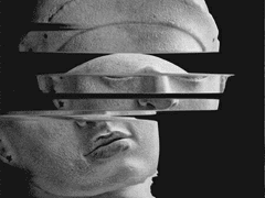 시취 썩은 내가 코 끝을 간질이고,