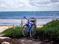 그곳에 여섯 개의 별이 산다. 2