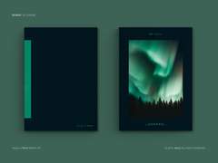 레디메이드 135. AURORA