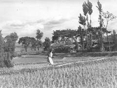 스인홈 5부를 시작하며/인물사전.ver3 /참고문헌