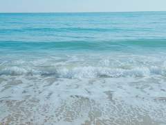 [세죠히나] 형사네 우렁각시 [3~5]