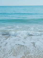 [켄히나쿠로] 봄은.