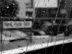 [행크피터토니] Raindrop 上