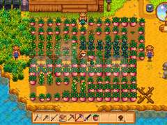 [스타듀밸리 일기]1년차 여름