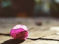 [토니피터] 첫사랑, 끝사랑