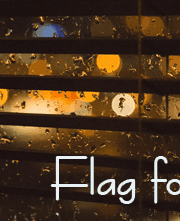 전지적 독자 시점(썰)