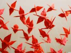 [화평최윤] 첫 사랑