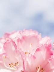 가벼운 Love and Producer