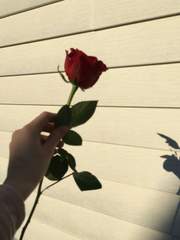 페르소나(persona)